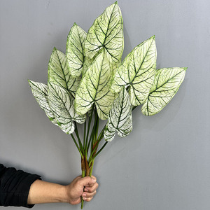 68CM Simulation 5 PCS Feuille d'<span class=keywords><strong>Arum</strong></span> pour Décoration de Jardin Impression 3D Verdure Artificielle de Haute Qualité Plante d'<span class=keywords><strong>Arum</strong></span> - Product Image 4