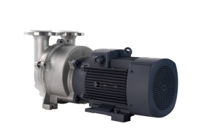 2BV Edelstahl Flüssigkeitsring-Luft-/Wasserring-Vakuumpumpe für Industrielle Anwendungen mit Anpassbarer Unterstützung - Product Image 4