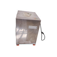 Machine électrique en acier inoxydable 300W pour le traitement de la noix de coco, râpe, hachoir à viande, broyeur, gratteur, robot culinaire