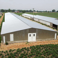 Cobertizo de gallinero de granja con estructura de acero estilo granja para pollos de engorde