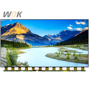 Meilleures spécifications Remplacement de l'écran du téléviseur PT500GT02-8 du panneau HKC de 50 pouces pour <span class=keywords><strong>les</strong></span> téléviseurs LCD Sony et <span class=keywords><strong>Samsung</strong></span> - Product Image 2