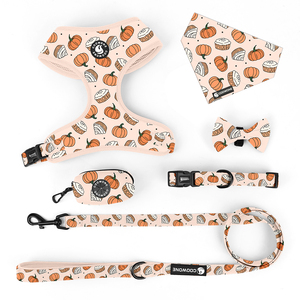 Kişiselleştirilmiş Köpek Tasması Seti Ayarlanabilir Çekişsiz Köpek Tasması Seti Tasarımcı Evcil Hayvan Köpek Tasması, Kayışı ve Tasması - Product Image 1