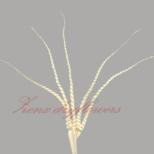 Feuilles artificielles indiennes à cinq doigts, faites à la main, écologiques, en feuilles de palmier, naturelles, transformées, plantes séchées, décoration festive pour fêtes - Product Image 3