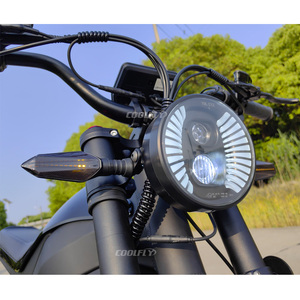 Motocicleta Eléctrica Todoterreno de Suspensión Completa Más Popular y Económica de 60v 48v 2000w 3000w - Product Image 4