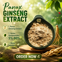 Extrait de Ginseng Panax de Haute Qualité, Ginsénosides 80%, Soluble dans l'Eau, 5%-80% Ginsénosides, Poudre d'Extrait de Racine de Ginseng, Prix par 1kg