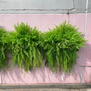 Certificata artificiale appesa <span class=keywords><strong>felci</strong></span> e viti resistente all'aperto erba finta plastica edera pianta appesa certificata resistente - Product Image 2