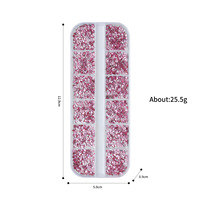 Lot de 12 mini strass en résine irréguliers à fond plat pour nail art et décoration d'ongles portables