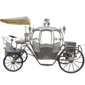 2024 Offre Spéciale extérieur pas cher/voyage en famille/Chine fournisseur de haute qualité élégant chariot de citrouille cheval touristique en plein air