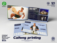 Folletos Plegables Personalizados con Diseño Personalizado en Papel Couché de 157/200/250 g/m² Impresión Offset y Laminación con Película