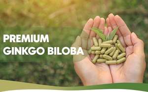 도매 은행 나무 <span class=keywords><strong>biloba</strong></span> 추출물 은행 잎 추출물 보충 OEM 은행 나무 <span class=keywords><strong>biloba</strong></span> 추출물 캡슐 - Product Image 5