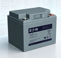Batterie UPS Eaton ETNHW12-38AH 12V 38AH sans entretien et scellée