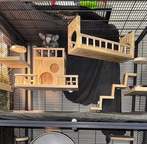 FSC บันไดบ้านและสะพานรถไฟริมชายหาดทำจากกระรอกหนูหนู - Product Image 1