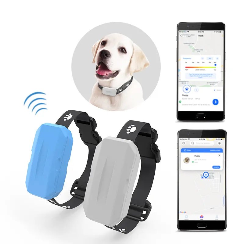 Pet akıllı takip cihazı GPS bulucu akıllı kart Bluetooth WiFi App avrupa versiyonu