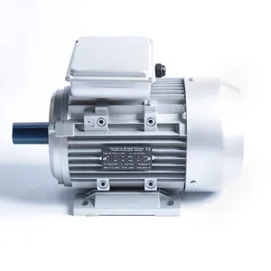 2800rpm 단일 위상 0.75 kw 전기 비동시성 모터