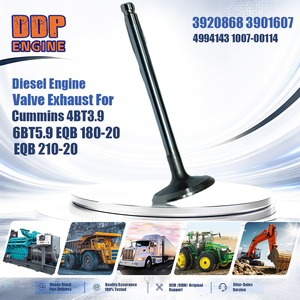 Válvula de escape del motor diésel 1007-00114 para Cummins 4BT3.9 6BT5.9 EQB 180-20 EQB 210-20 - Product Image 2