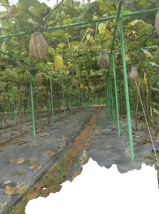 Tubes ronds en fibre de verre FRP haute résistance - Product Image 5