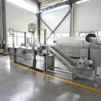 Qiangda 300kg/uur Nieuwe RVS 304 Volledig Automatische Multifunctionele Aardappelchipslijn Aanpasbare Capaciteit Elektrische/Gasverwarming