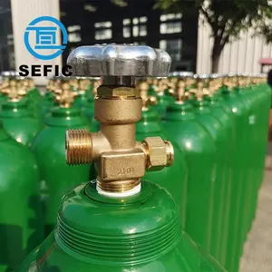 SEFIC 40l50lスチールガスシリンダー酸素タンク医療用酸素シリンダー