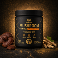 10 dalam 1 Permen Gummy Jamur Ashwagandha Rasa Raspberry 120 Buah Suplemen Diet Pendukung Kekebalan Tubuh Dewasa Label Kustom ODM