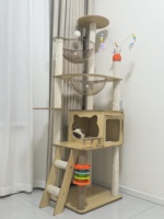 Arbre à chat avec griffoir et nid, double capsule spatiale en panneau de densité, jouet universel quatre saisons pour chat de petite taille
