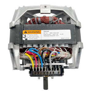 Motor Principal de Accionamiento Directo para Lavadora 389248, 115V 100W 10A - Product Image 2