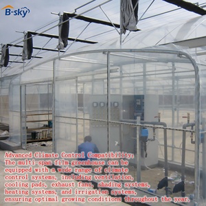 Soluzione per Serre Agricole per Produzione Alimentare Commerciale e Agribusiness Tutto l'Anno - Product Image 3