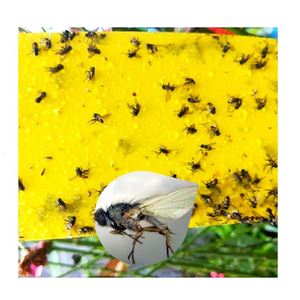 Piège à mouches de ferme en Double Viscose pour les tueurs de mouches avec mites lutte efficace contre les parasites - Product Image 1