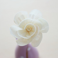 Bouteille en céramique Bâtons de diffuseur de roseau Huiles Diffuseur de roseau sans flamme Ensemble de parfum avec boîtes d'emballage