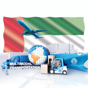 DDP agente di spedizione dalla cina ai servizi di logistica dello spedizioniere aereo UAE Dubai - Product Image 3