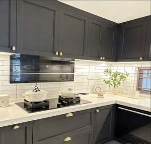 Armoires de cuisine compactes BALOM sur mesure pour petits espaces, placards de rangement en PVC avec organiseurs de tiroirs et base d'évier - Product Image 1