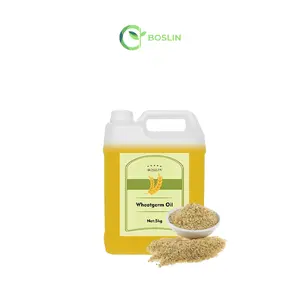 Commercio all'ingrosso 100% puro sfuso di olio di germe di grano vergine naturale freddo olio essenziale per la pelle OEM/ODM semi di materia prima
