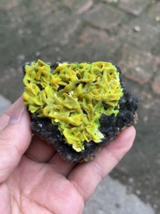 ของที่ระลึกกีฬา คริสตัลพอยต์ หินเรืองแสงสีเขียว ออตไนต์ - Product Image 2