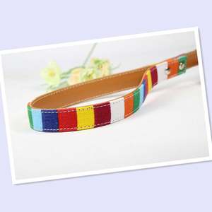 Correa de Lona para Mascotas, Correa de Tracción para Cachorros, Novedad Transfronteriza, Correa Antipérdida para Mascotas, Correa de Tracción de Una Pieza, Dropshipping - Product Image 4