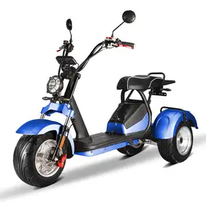 Dual 2000w Motor Swing Elektro Trike Motorrad Fahrrad Fahrrad