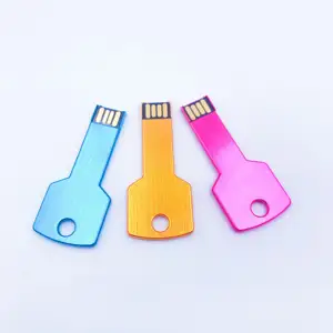 Oem Odm 컴퓨터 고속 256Mb 512Mb 1Gb 2Gb 4Gb 8Gb 메모리 키패드 자동차 디스크 USB 키 플래시 드라이브