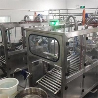 Grote Capaciteit Doos In Zak Fruit Pulp Pasta Jam Melk Aluminiumfolie Zak Aseptische Vulmachine