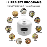 Cuiseur à riz électrique à pression en acier inoxydable OEM/ODM 2L revêtement antiadhésif Pot intérieur Coocker domestique