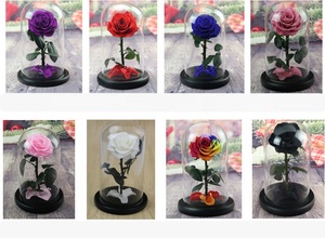 <span class=keywords><strong>Rosas</strong></span> <span class=keywords><strong>Preservadas</strong></span> <span class=keywords><strong>en</strong></span> Cúpula de Cristal, Más Vendidas, Disponibles <span class=keywords><strong>en</strong></span> Todos los Colores - Product Image 2