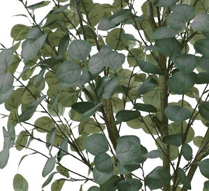 ต้นยูคาลิปตัสประดิษฐ์จาก PVC ขนาด120ซม. <span class=keywords><strong>ดอกไม้</strong></span>ใบบอนไซที่สม<span class=keywords><strong>จริง</strong></span>สำหรับบ้านสวนสำนักงานกลางแจ้ง - Product Image 2