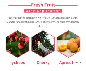 Machine à pichet, 5 m, professionnelle, pour faire des boulettes de cerise, pêche et abricot, nouveau style - Product Image 4