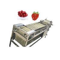 Automatische Appelsortering Aardappeldata Bosbessen Fruit Sorteermachine