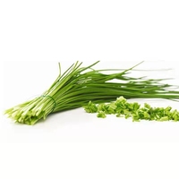 Légumes séchés à l'air, flocons d'oignon vert, vente chaude, chinois, nouvelle culture, flocons de légumes séchés, cibouilles, vente en gros
