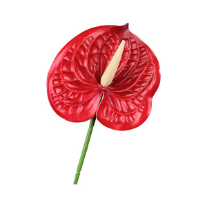 Sutra buatan putih Anthurium cabang tunggal buatan tangan tahan lama 3-5 tahun pengaturan Dekorasi Rumah & pernikahan