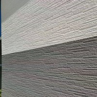 Panneaux décoratifs modernes en fibro-ciment pour murs extérieurs - Imperméables et résistants au feu pour hôtels, villas, hôpitaux, maisons et commerce