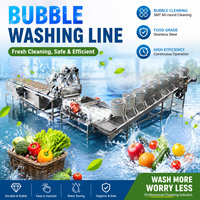 RVS-belwasmachine voor het reinigen van fruit en groenten, geschikt voor de verwerking van appels, sinaasappels en aardbeien