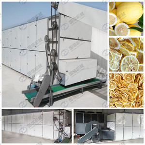 Ligne de production de séchage à bande maillée à grande capacité et à haut rendement pour le séchage des tubercules de bardane et de salsif - Product Image 2