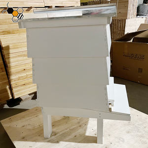 Colmena británica a <span class=keywords><strong>precio</strong></span> <span class=keywords><strong>de</strong></span> fábrica, WBC completo, Reino Unido, estándar nacional, caja <span class=keywords><strong>de</strong></span> madera para <span class=keywords><strong>abejas</strong></span>, nueva condición para aplicación <span class=keywords><strong>de</strong></span> granja <span class=keywords><strong>de</strong></span> <span class=keywords><strong>abejas</strong></span> - Product Image 4