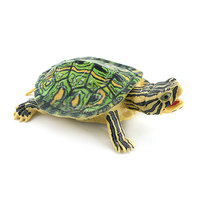 Modèle réaliste en PVC solide d'animal marin, reptile amphibie, tortue brésilienne, jouet et ornement, pour assemblage transfrontalier