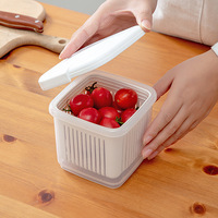 Panier à baies double couche et passoire, récipient à fruits pour réfrigérateur, boîte de rangement avec drain, accessoires de cuisine