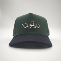 Casquette Hip Hop structurée Logo personnalisé Logo brodé 3D Casquette de baseball à 5 panneaux en coton Casquette snapback Casquette de camionneur